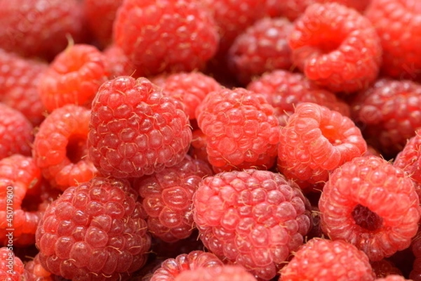 Fototapeta Raspberries, raspberry fruits background, fresh fruits.
