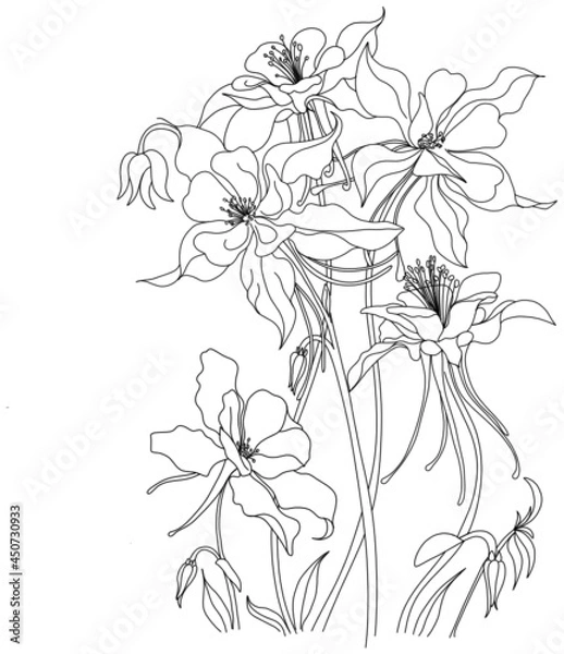 Obraz flowers