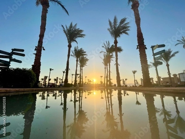 Obraz sunrise with pool & palms