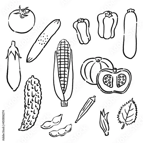 Fototapeta 墨絵風の夏の野菜のベクターイラストのセット