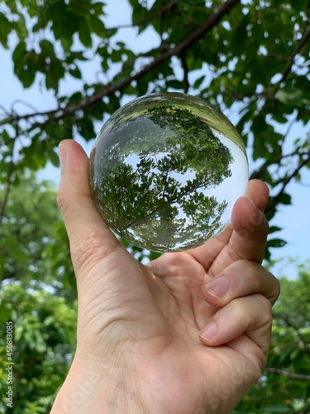 Fototapeta hands holding a tree