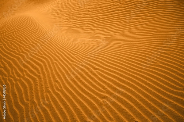 Obraz The Little Sand Dunes Pattern