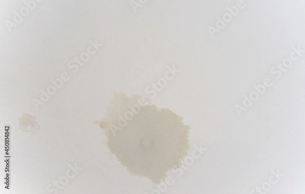 Obraz Stains on the ceiling after flooding by neighbors, repair, restoration after the flood