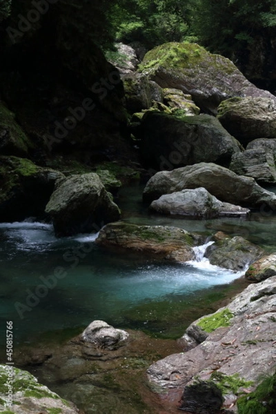Fototapeta 中津渓谷　清流　初夏　（高知県　仁淀川町）