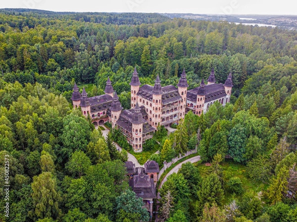 Obraz łapalice