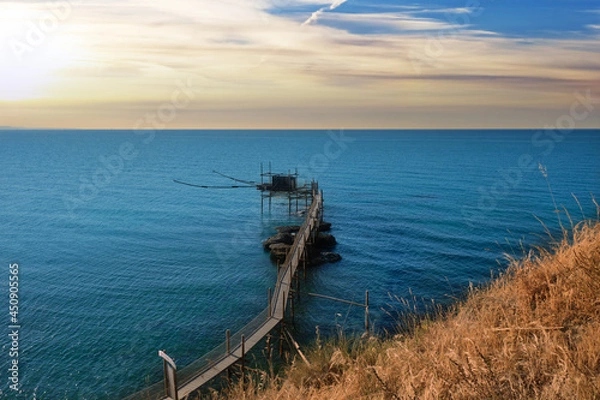 Obraz wooden overflow in the coast of punta aderci of vasto abruzzo