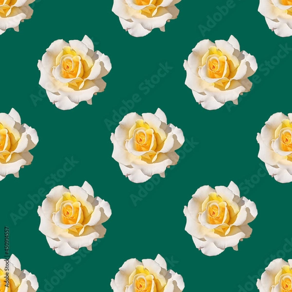 Fototapeta Raster seamless floral pattern of white and yellow roses on a green background.