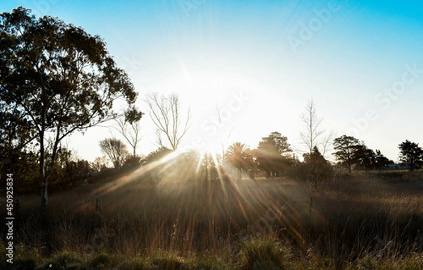 Obraz sunset in the field
