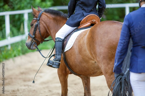 Obraz A red sports horse with a bridle and a rider riding with his foot in a boot with a spur in a stirrup.