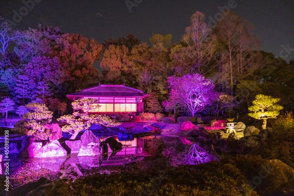 Obraz 京都・二条城のライトアップ