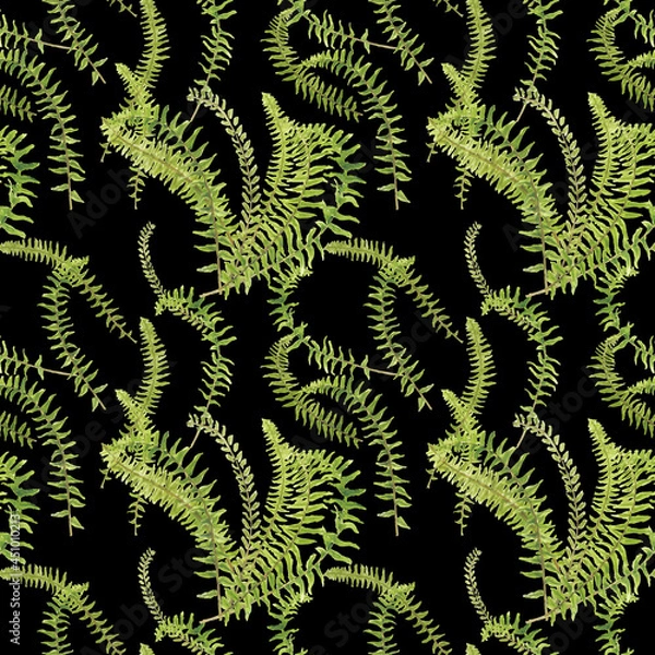 Obraz Fern leaves seamless pattern on black background, watercolor hand drawn