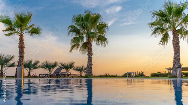 Obraz palm trees next to the pool of hotel