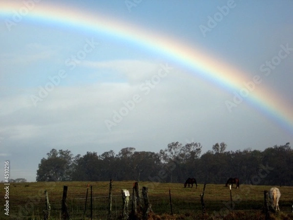 Obraz Rainbow in Hawaii
