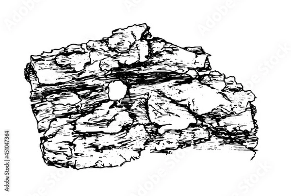 Fototapeta Vector texture of the bark. Hand-drawn sketch-style piece of old tree bark, close-up, isolated black outline on a white background for a design template