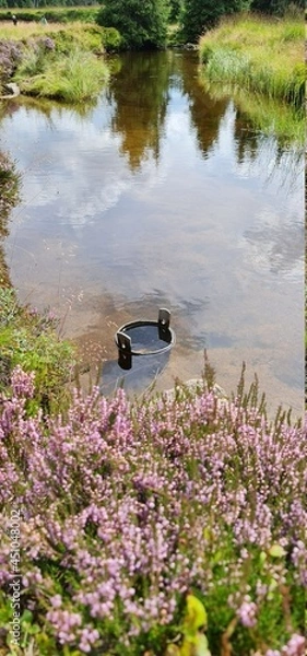Obraz pond with flowers