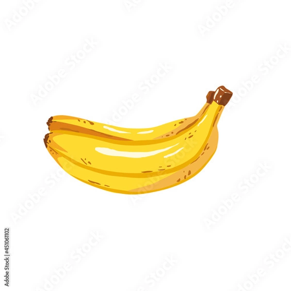 Fototapeta Yellow banana fruit isolated on white backgrounds 