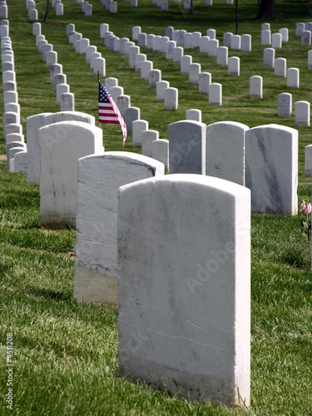 Obraz Arlington National Cemetery_Fallen Heroes