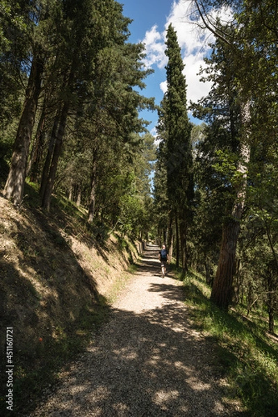 Fototapeta A young man is walking along a path to Todi