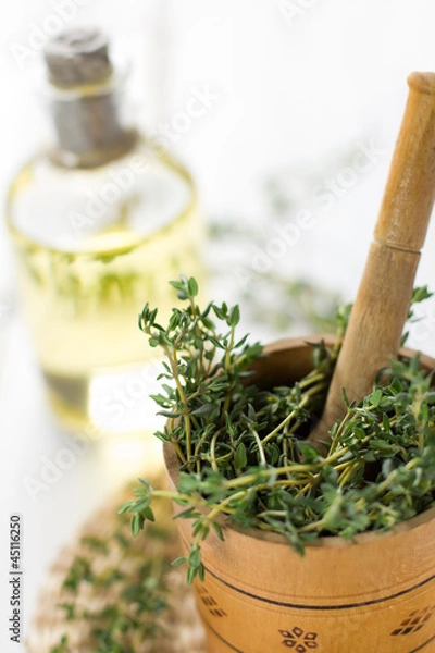 Obraz Healthy aromatic herbs.Thyme