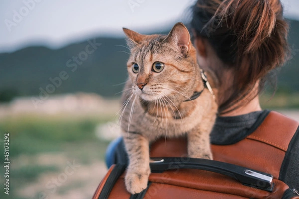 Obraz Young woman walking with cute ginger cat on her shoulder in summer park.