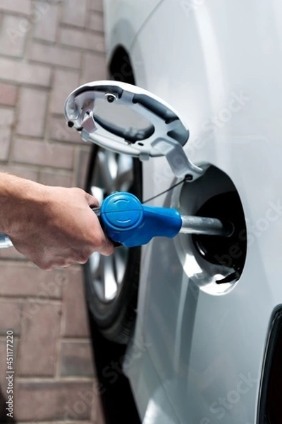 Fototapeta Fuel pump.