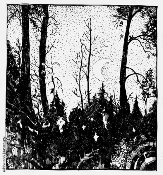 Fototapeta Hand drawn vector illustration with trees and moon. Night landscape. 