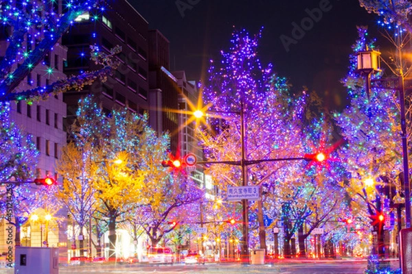 Obraz 大阪・御堂筋のイルミネーション