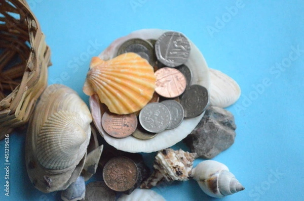 Obraz seashells on the sand