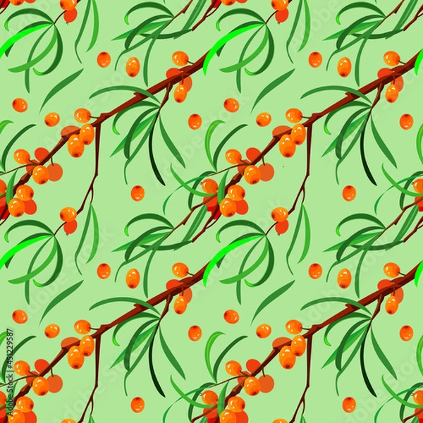 Obraz sea buckthorn branches, pattern on a green background