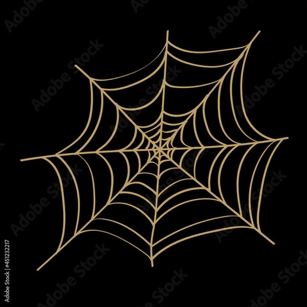Fototapeta Spider web isolated on wite background. Spooky spider web for Halloween decoration.