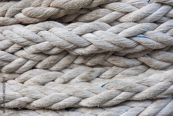 Obraz Zamknięcie białej liny morskiej