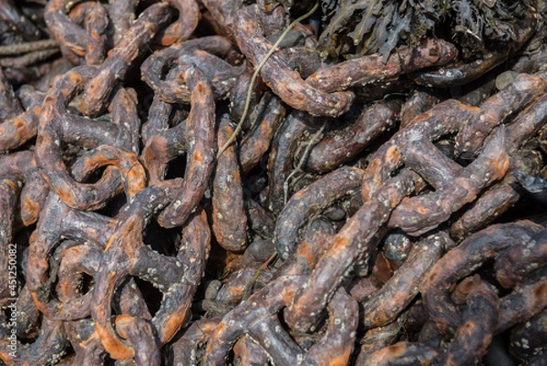 Obraz close up of barnacle encrusted rusty iron chain 