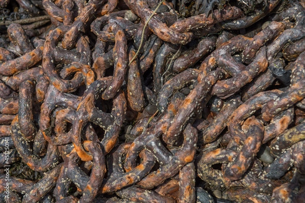 Obraz Old rusty chain covered in barnacles