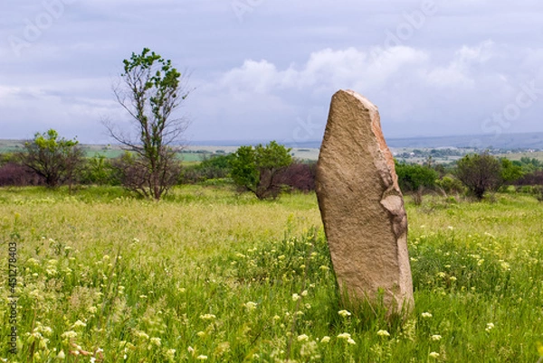 Obraz A vertically standing stone in the green steppe