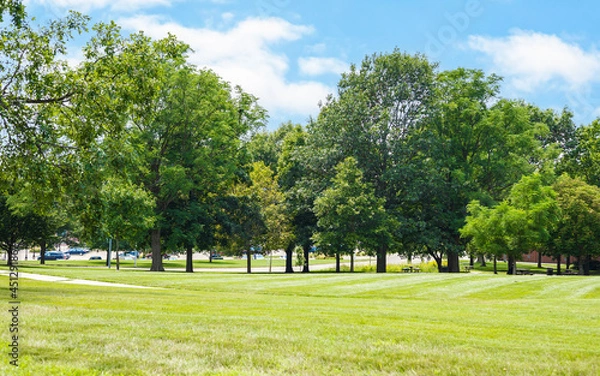 Fototapeta Scenic of green landscape, public outdoor park for leisure and picnic in summer. Greenery environment, lush field and trees and white clouds in blue sky. Recreation and relaxation place with nature.