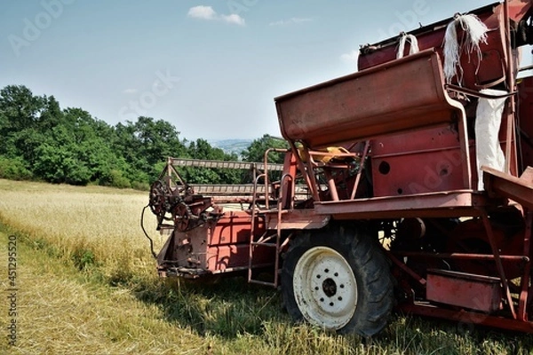 Fototapeta combine harvester working in a field