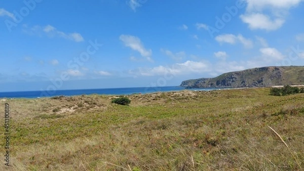 Obraz view from the beach