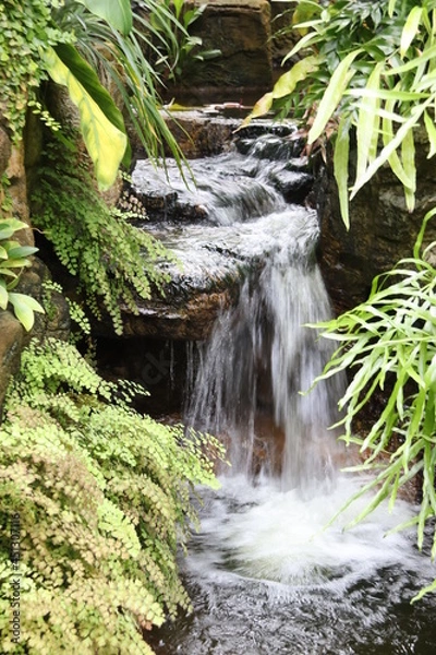 Fototapeta waterfall in the forest