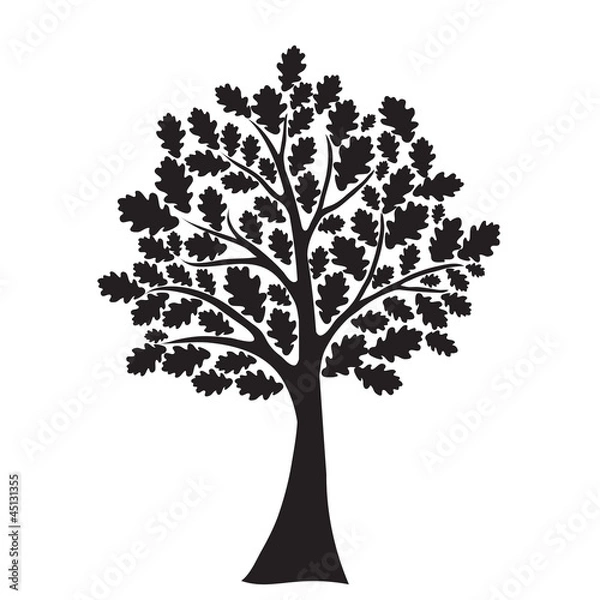 Fototapeta black oak tree, stylized, vector for design