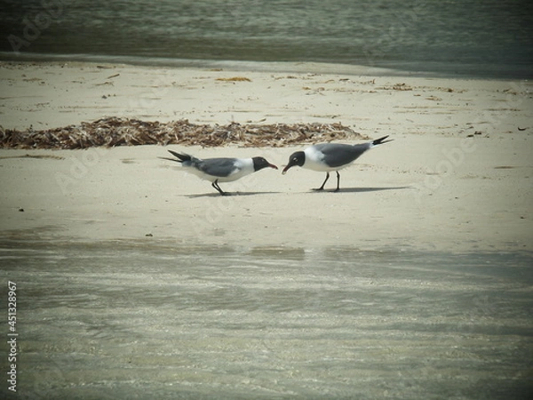 Obraz OLYMPUS DIGITAL CAMERA