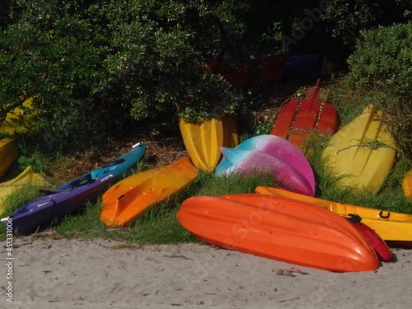 Obraz OLYMPUS DIGITAL CAMERA