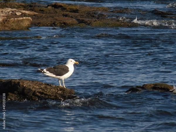 Obraz OLYMPUS DIGITAL CAMERA