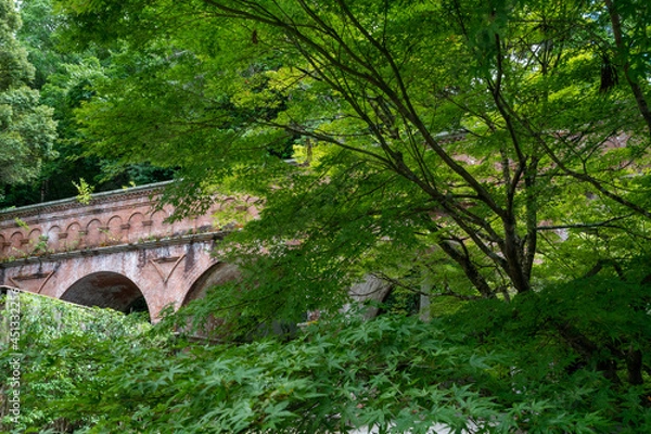 Obraz レンガと木