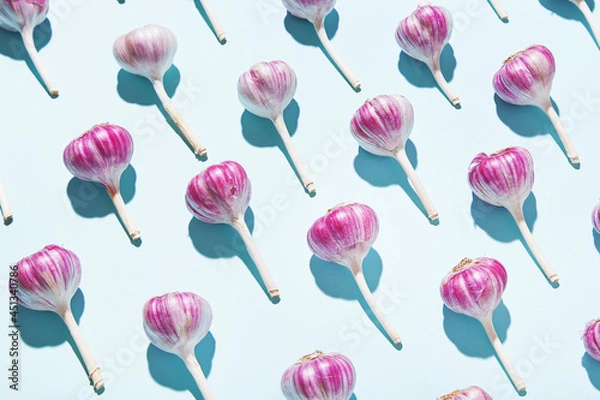 Fototapeta Bulbs of garlic on a colored background, colorful garlic  pattern. Garlic patter on cyan mint blue  background