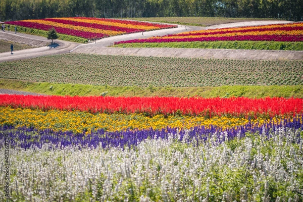 Fototapeta 일본 훗카이도