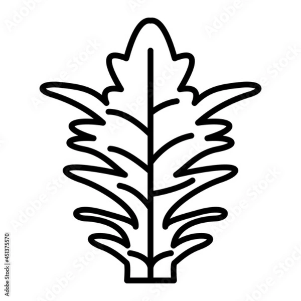 Fototapeta Frisee Vector Outline Icon Isolated On White Background