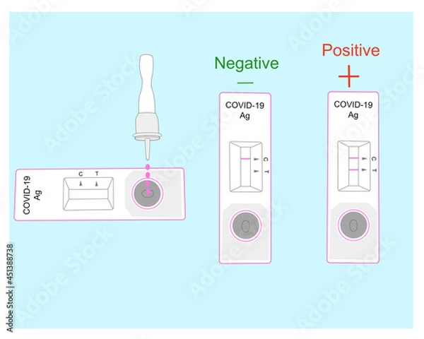 Fototapeta Rapid antigen test kit process show results negative or positive with coronavirus.vector illustration 