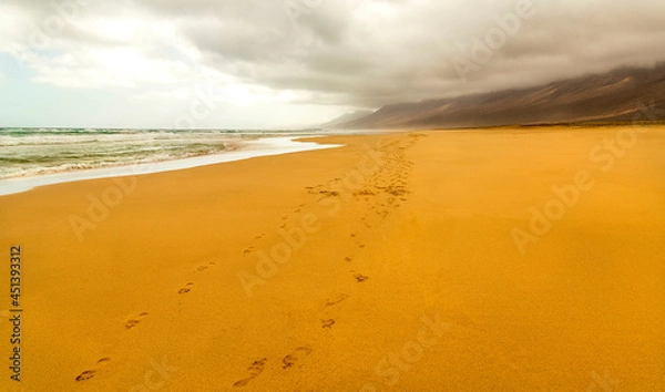 Obraz footstep on the beach