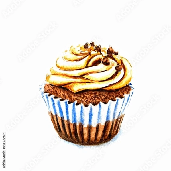 Fototapeta chocolate cupcake isolated on white
