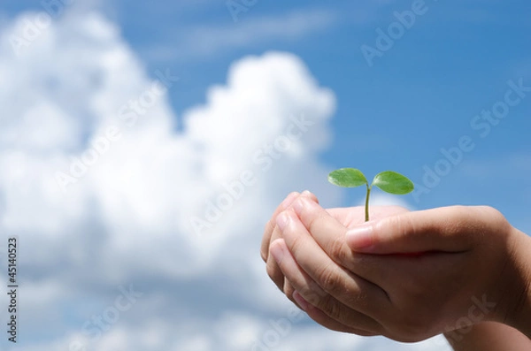 Obraz 手の中の双葉と空